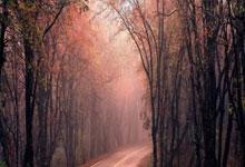 FIFA世界杯-德甲联赛：RB莱比锡状态佳，门興(xìng)近期表现稳定