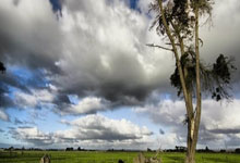 worldcup-股市必读：福龙马（603686）登12月30日交易所龙虎榜