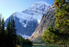 世界杯预测-劲踏专业款水晶沙地胶评测：4.5mm 厚度 + 4年质保，羽毛球场地的新选择